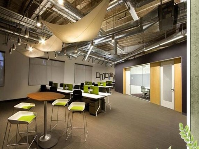 菜干烘干机厂家